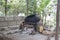 Peruvian traditional adobe kitchen with wood