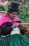 Peruvian woman knitting in a park