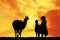 Peruvian woman with lamas at sunset