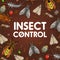 Pest control, insect disinsection. Bugs and flies