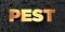 Pest - Gold text on black background - 3D rendered royalty free stock picture