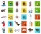 Pest, poison, personnel and equipment cartoon,flat icons in set collection for design. Pest control service vector
