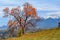 Pestera village,Romania:Autumn landscape with the Bucegi mountains