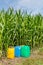 Pesticides in jerry cans next to corn plants