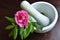 Pestle and mortar with laurel leaves and Apothecary rose