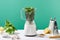 Pesto sauce raw ingredients and food processor with basil leaves on white table isolated on green