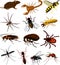 Pests cliparts - insects, scorpion and rat