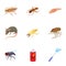 Pests of homes icons set, cartoon style