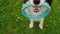 Pet activity. Puppy dog border collie holding in mouth blue puller ring toy outdoor. Unrecognizable owner playing with