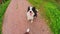 Pet activity. Unrecognizable woman feet walking on road with puppy dog border collie. Owner with pet dog friend walking