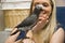 Pet African Grey