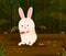 Pet animal Rabbit eating carrot on jungle forest background