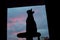 Pet animal; tabby cat indoor silhouette photo