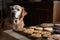 pet bakery, with treats for dogs and cats baked fresh daily