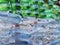 Pet bottles background