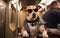 Pet brutal dog rides in a subway car using a mobile phone, sitting on a seat in sunglasses. Generative AI