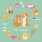 Pet care set for petshop contains toys, collar, food, cartoon cat and dog, bowls, shampoo vector illustrations.