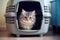 A pet cat in an animal carrier. Generative AI technology