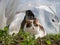 Pet cat in garden plastic cloche watching peas and weeds grow.