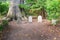 Pet cemetery at Glamis Castle in Scotland