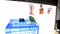 Pet, cute parrot, Monk Parakeet