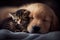 Pet dog and cat cuddle in sleep on a couch. Generative ai.