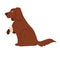 Pet dog with wounded or broken paw in bandage vector cartoon icon