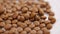 Pet dry food falling close up into a domestic cat bowl