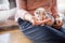 Pet ferret eating from the hand of its owner