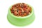 Pet Food Bowl Isolated White on Background