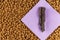 Pet food and chew treats. A stick of dried beef tripe lies on a piece of paper. Brown pellets of dry dog food. Lilac square piece