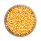 Pet food dish filled with corn kernels, top view.