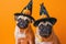 Pet Friends Don Halloween Costumes Against A Vibrant Orange Backdrop, Exuding Festive Vibes