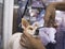 A pet groomer trims the hair on the snout of a small mixed breed dog. At a dog salon