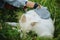 Pet Grooming Glove. Woman combing puppy hair with special deshedding glove in summer park. Person grooming and brushing cute white