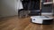 Pet and housework, smart technology concept. Robot vacuum cleaner and playing gray tabby Scottish Straight kitten at