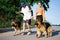 Pet Love, Dog Training, best dog breeds for family. Young sports couples walking with two German Shepherd dogs outdoors