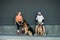 Pet Love, Dog Training, best dog breeds for family. Young sports couples walking with two German Shepherd dogs outdoors