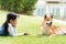 Pet lover An Asian girl is playing with a Shiba Inu dog in the park in the spring