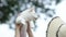 Pet Lover. Asian Women carrying white Shiba Inu or Hokkaido Inu in a park. Picnicking in the garden.