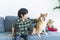 Pet Lover. A boy playing with a Shiba Inu on the sofa in the living room. Japanese dog