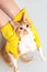 The pet owner bathes her cat. Hands in yellow gloves hold a red cat in the water