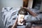 Pet owner photographing cat with smart phone