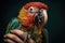 a pet parrot perching on a hand