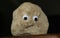 Pet Rock