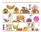 Pet rodents home accessories icon set flat style isolated on white. Healthcare collection. Create own infographic about guinea pig