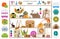 Pet rodents home accessories icon set flat style isolated on white. Healthcare collection. Create own infographic about guinea pig