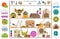 Pet rodents home accessories icon set flat style isolated on white. Healthcare collection. Create own infographic about guinea pig