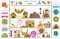 Pet rodents home accessories icon set flat style isolated on white. Healthcare collection. Create own infographic about guinea pig