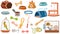 Pet shop assortment, animals accessories. Set of store supply items for domestic pets